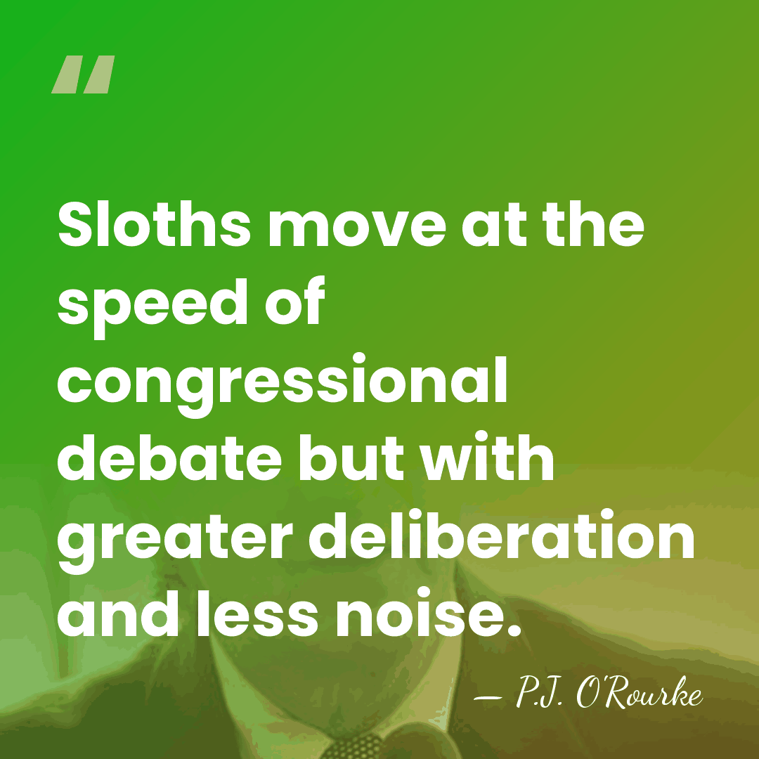 Sloths move at the speed of congressional debate but with greater deliberation&hellip; - P.J. O'Rourke