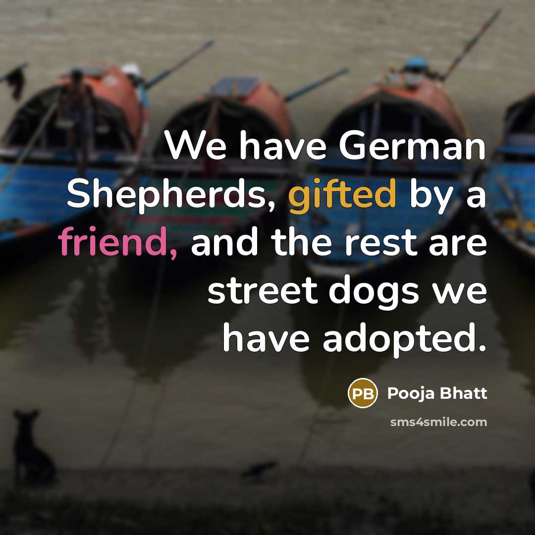 “We have German Shepherds, gifted by a friend, and the rest are street dogs we have adopted.” quote by Pooja Bhatt