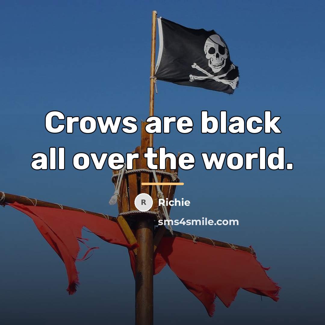 “Crows are black all over the world.…” quote by Richie