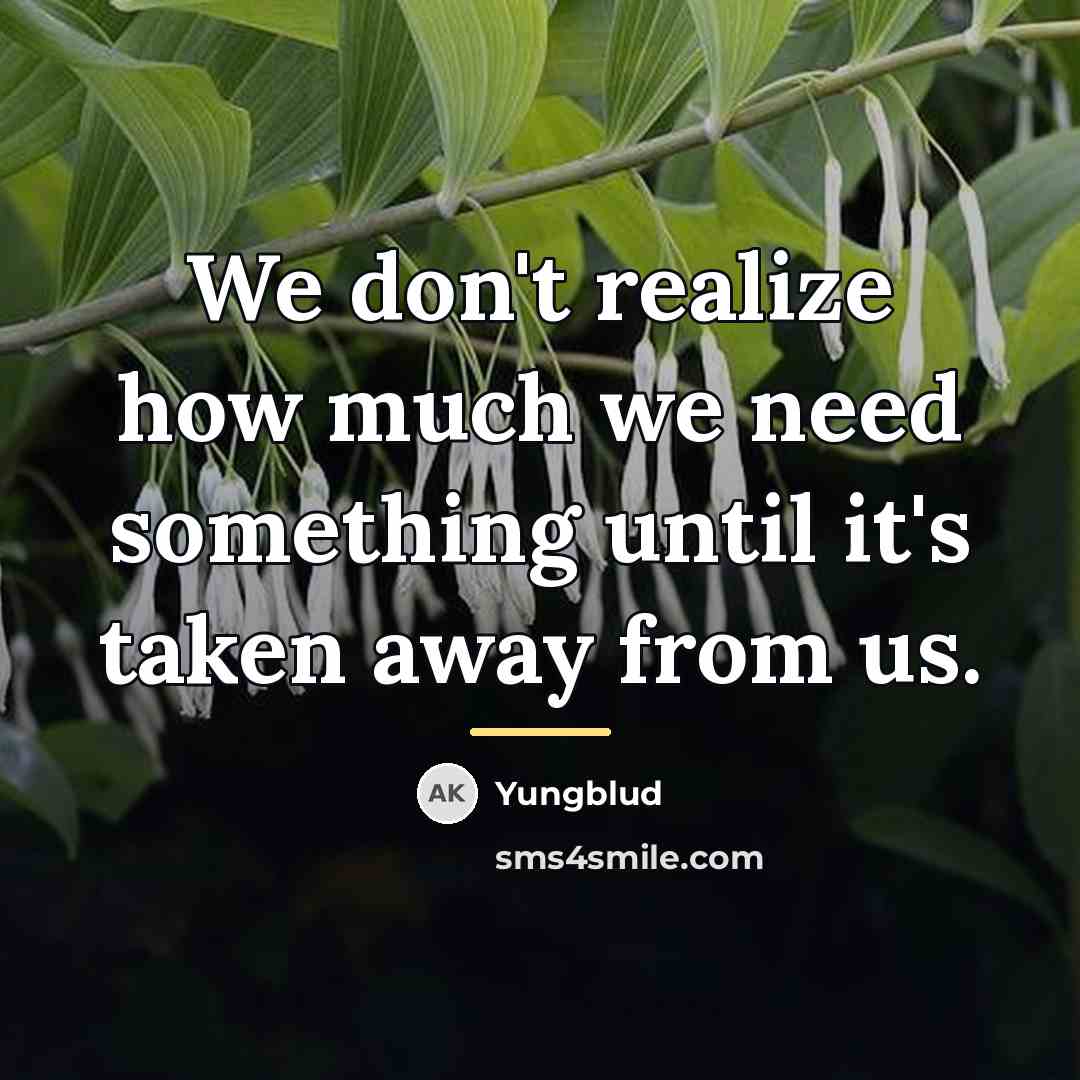 “We don't realize how much we need something until it's…” quote by Yungblud