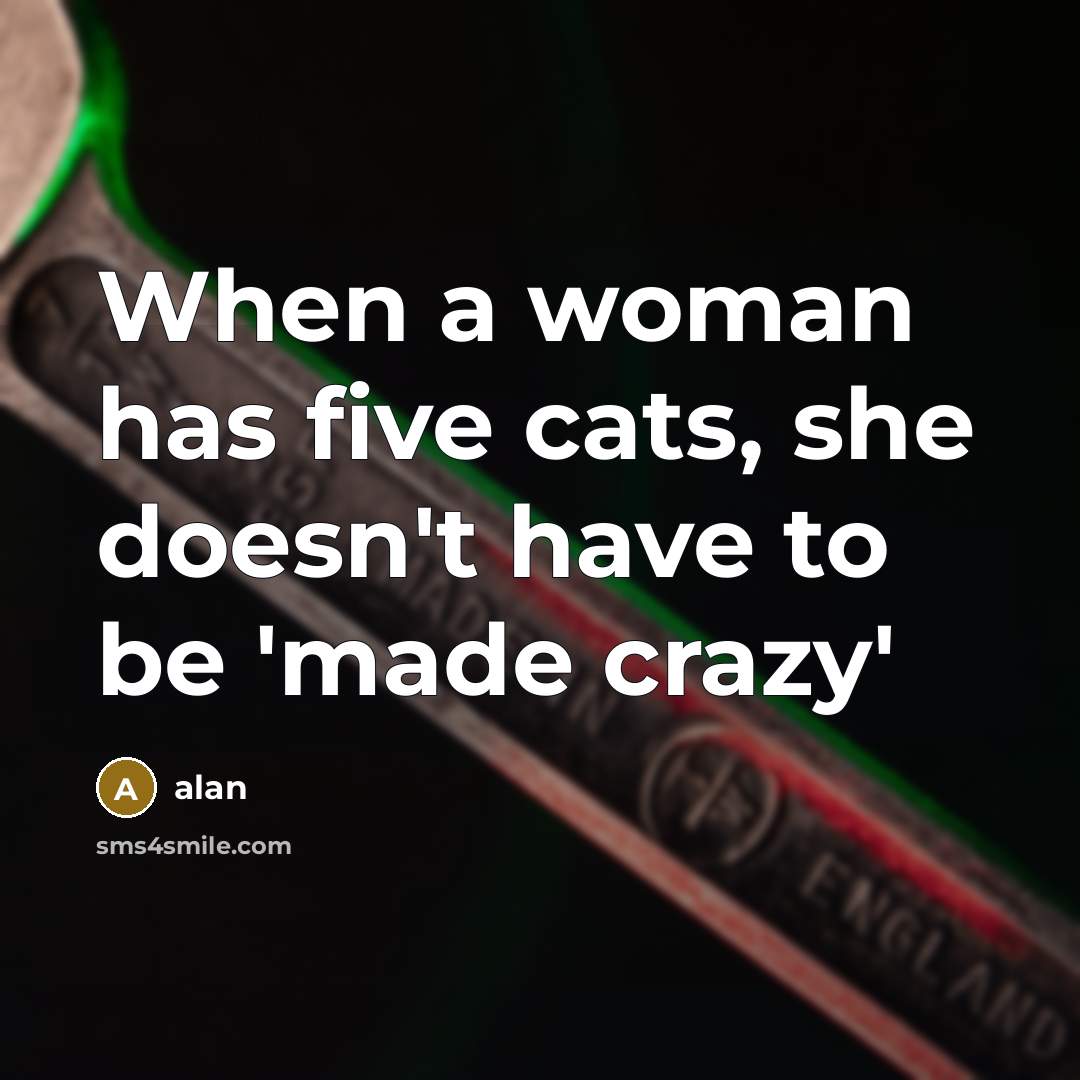 “When a woman has five cats, she doesn't have to…” quote by alan