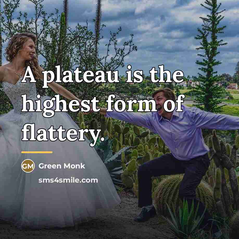 “A plateau is the highest form of flattery.…” quote by Green Monk