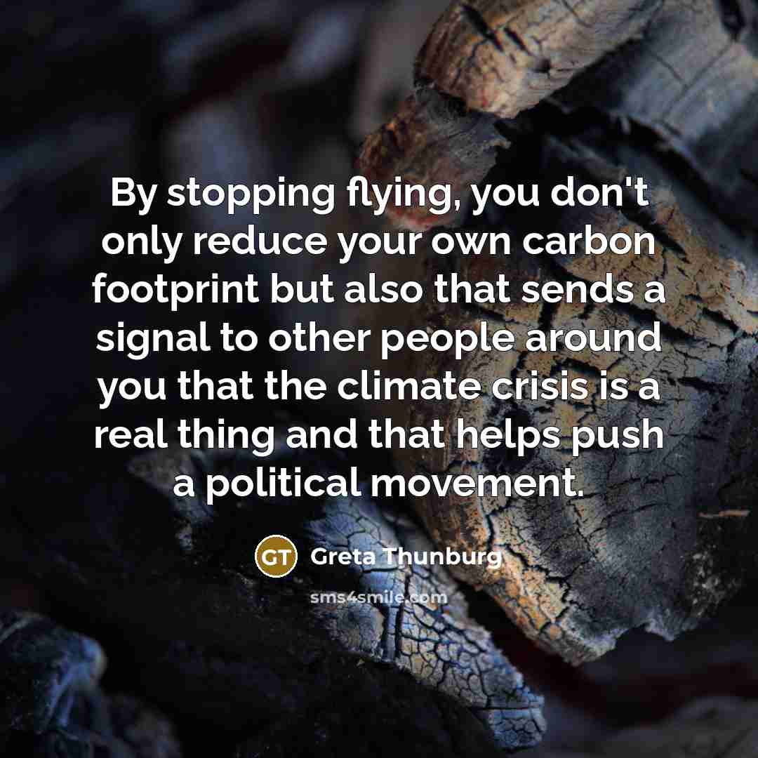 “By stopping flying, you don't only reduce your own carbon…” quote by Greta Thunburg