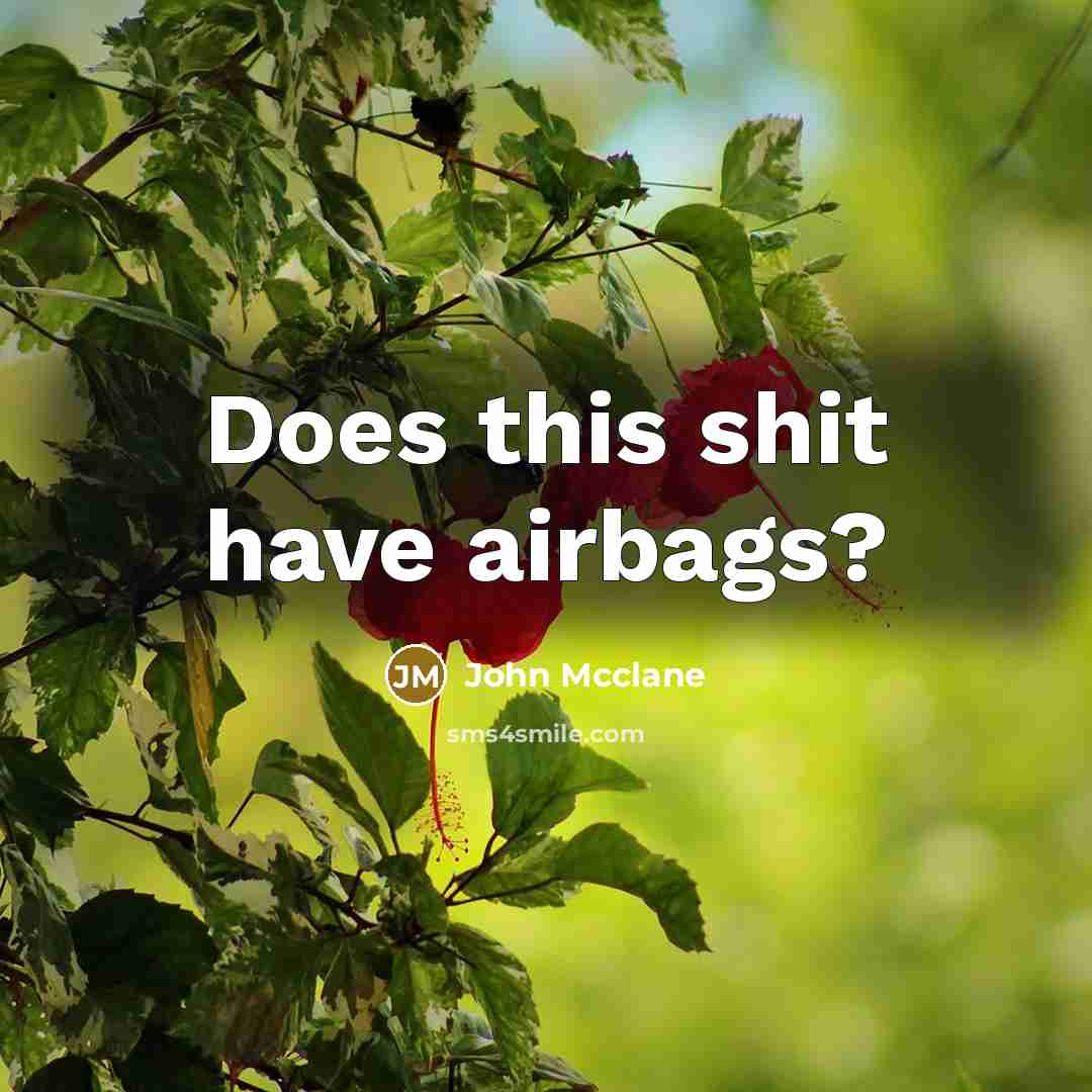 “Does this shit have airbags?…” quote by John Mcclane