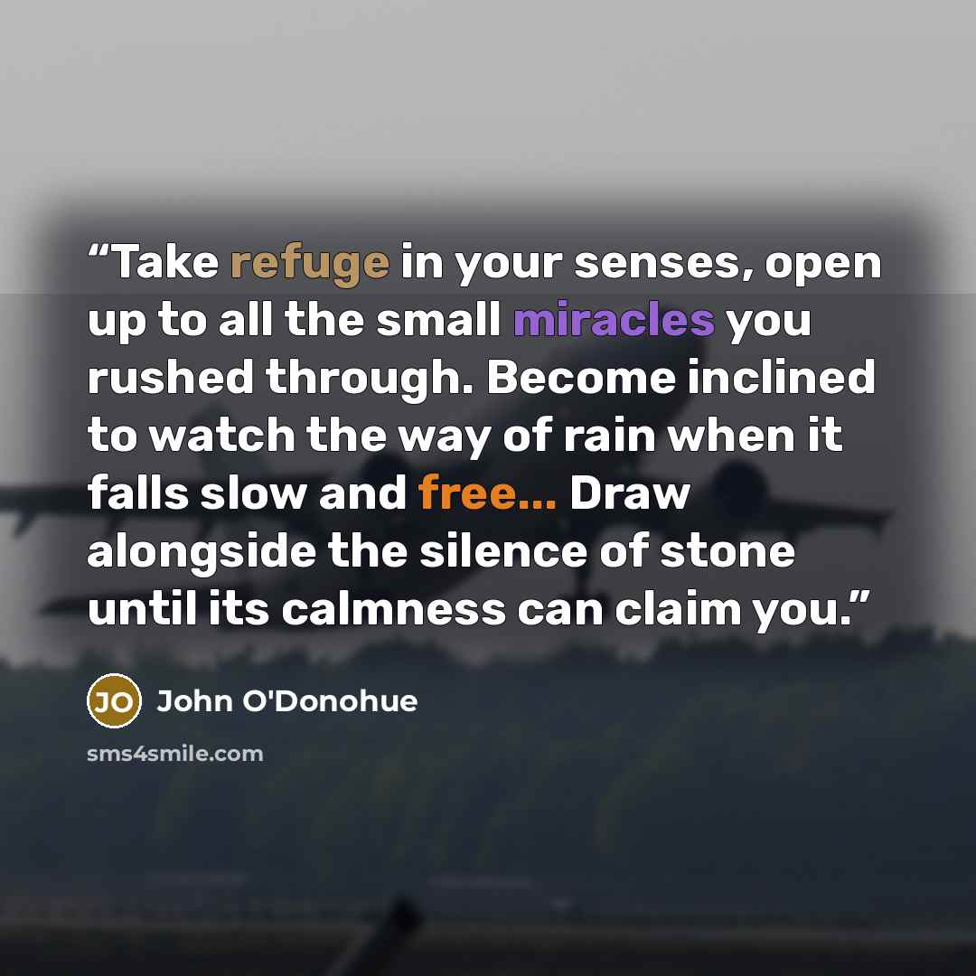 “Take refuge in your senses, open up to all the small miracles you rushed through. Become inclined to watch the way of rain when it falls slow and free... Draw alongside the silence of stone until its calmness can claim you.” quote by John O'Donohue