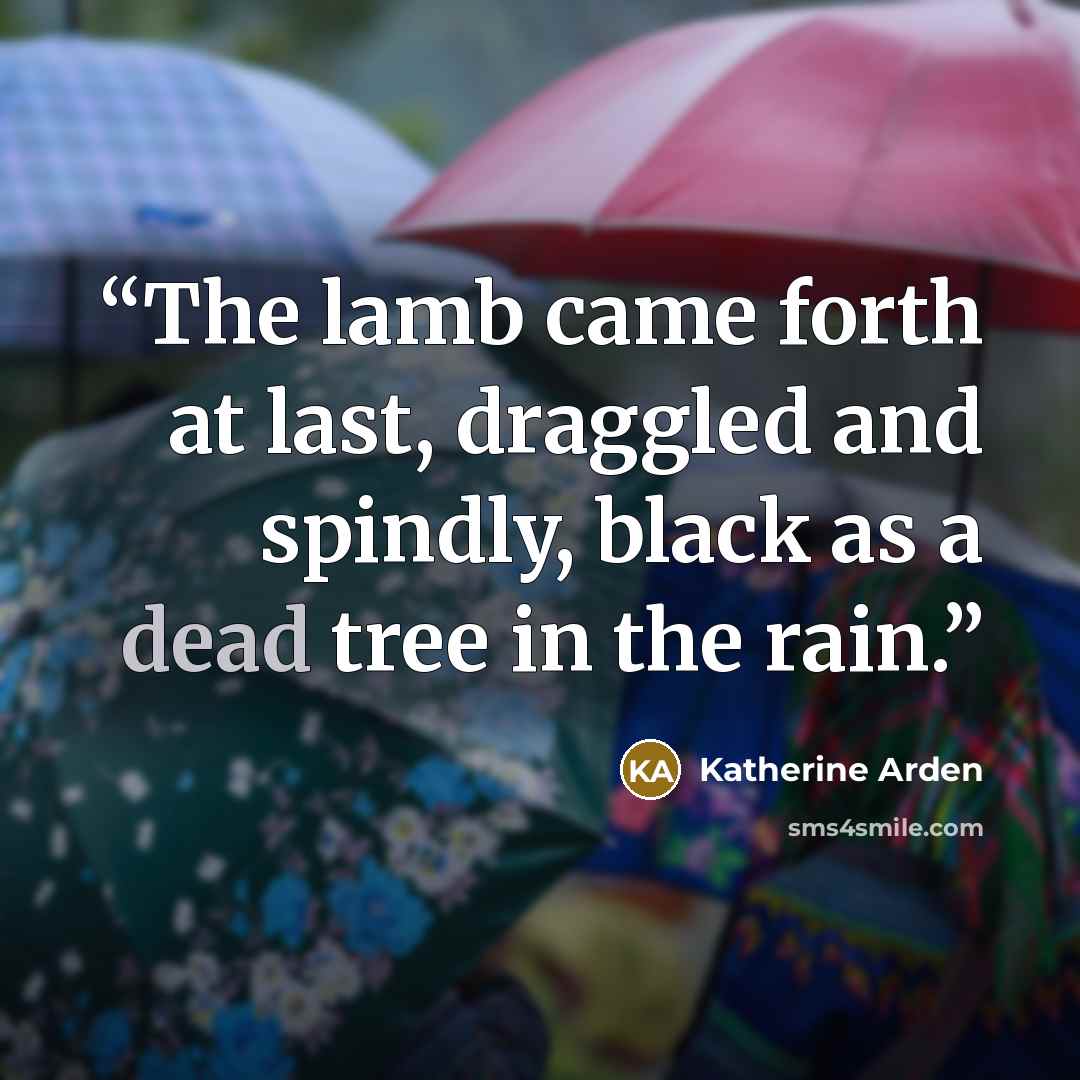 “The lamb came forth at last, draggled and spindly, black as a dead tree in the rain.” quote by Katherine Arden
