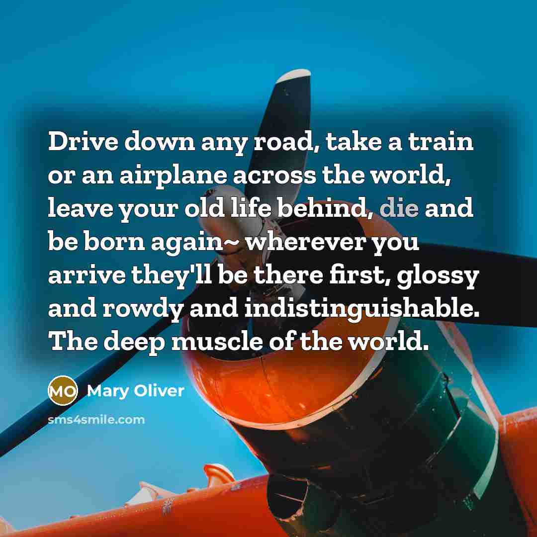 “Drive down any road, take a train or an airplane…” quote by Mary Oliver
