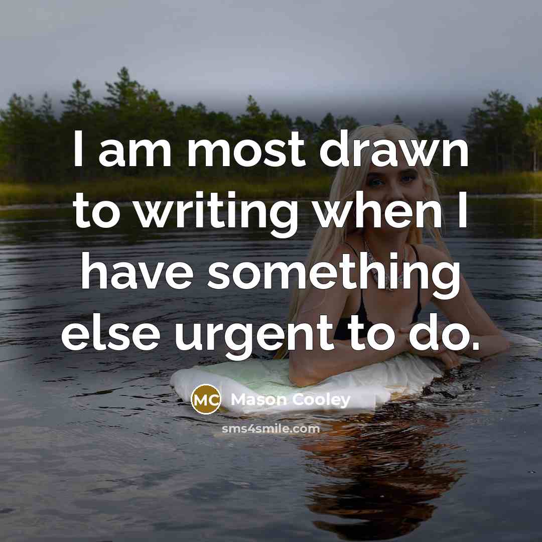 “I am most drawn to writing when I have something…” quote by Mason Cooley