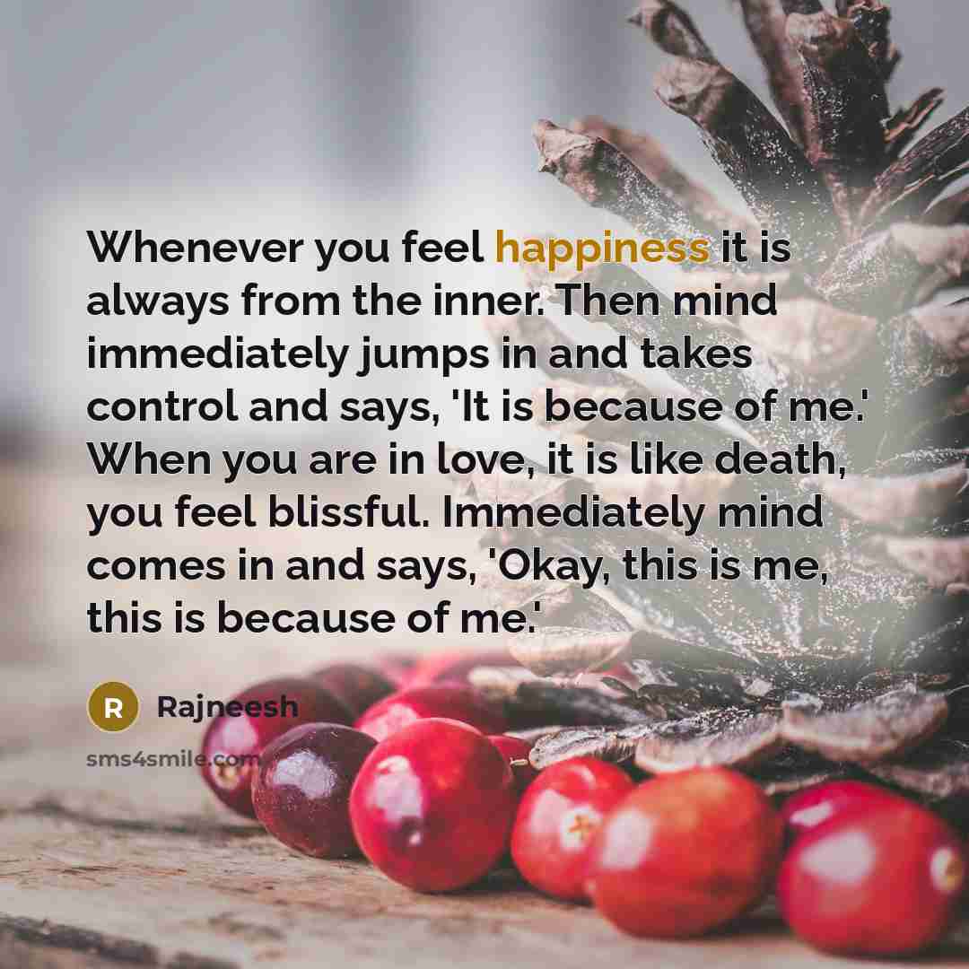 “Whenever you feel happiness it is always from the inner.…” quote by Rajneesh