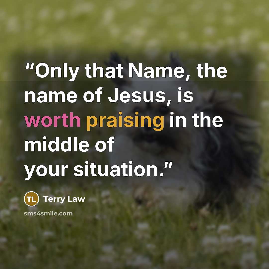 “Only that Name, the name of Jesus, is worth praising in the middle of your situation.” quote by Terry Law