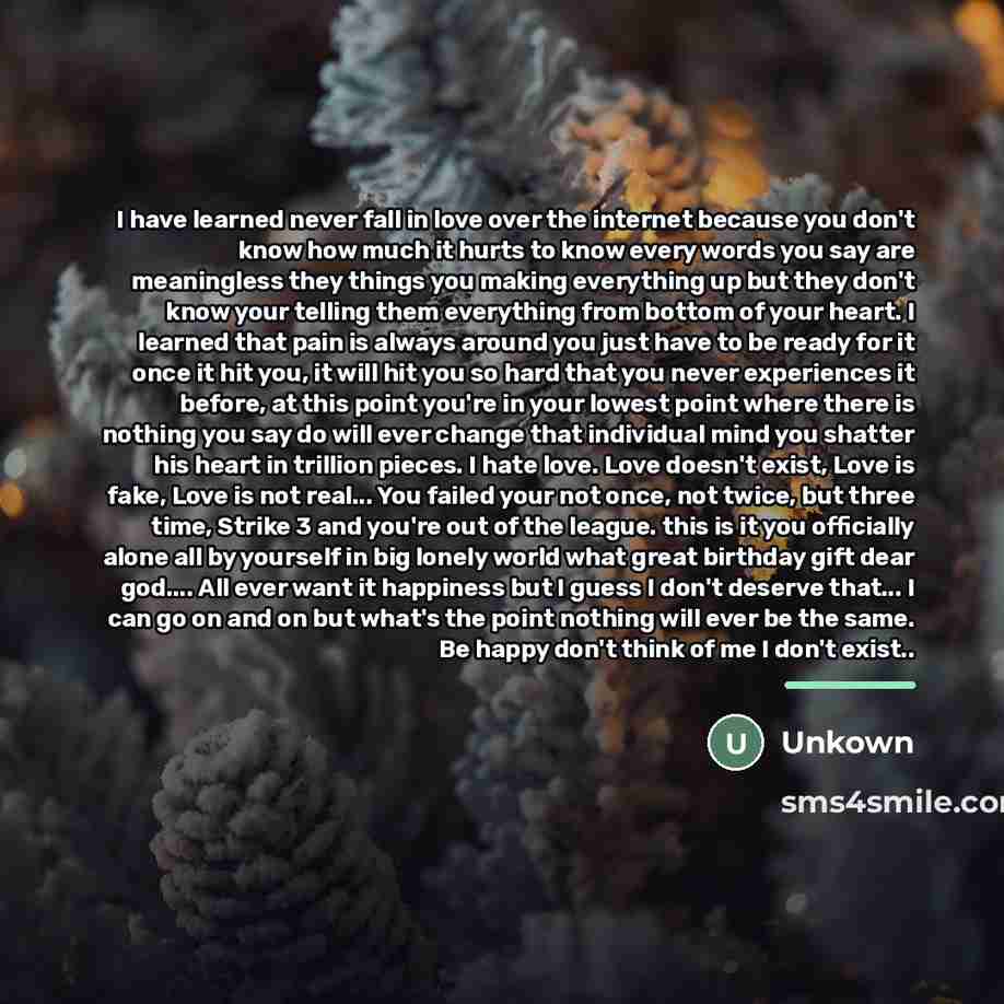 “I have learned never fall in love over the internet…” quote by Unkown