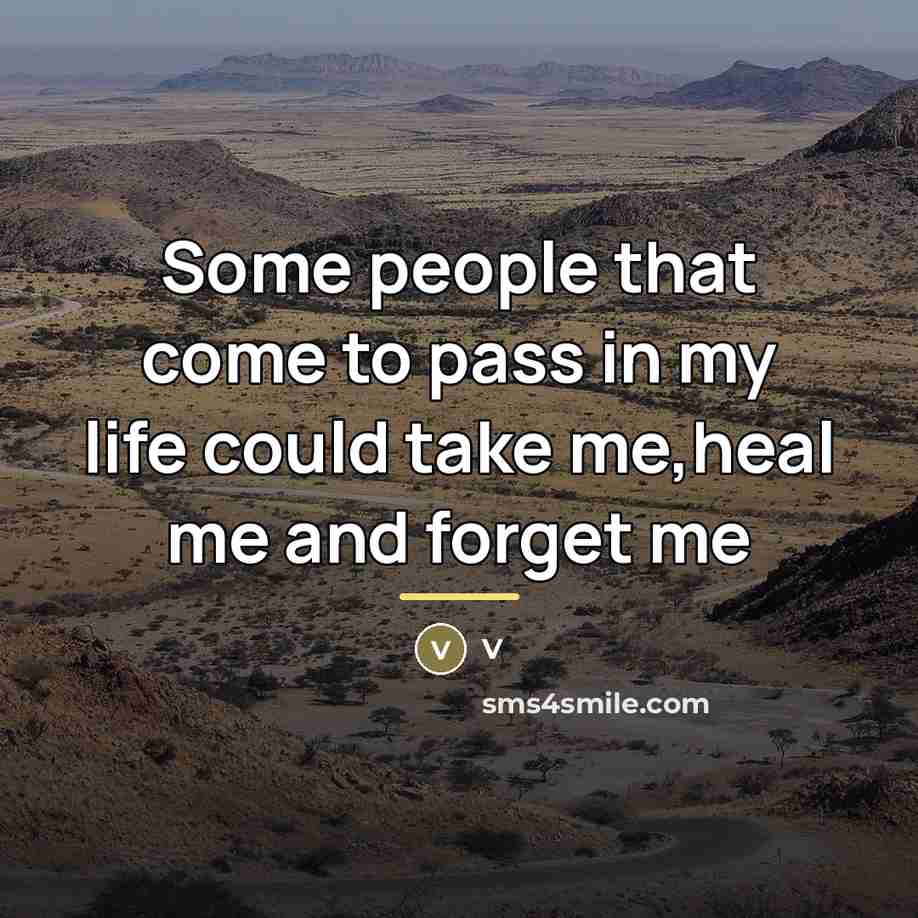 “Some people that come to pass in my life could…” quote by V