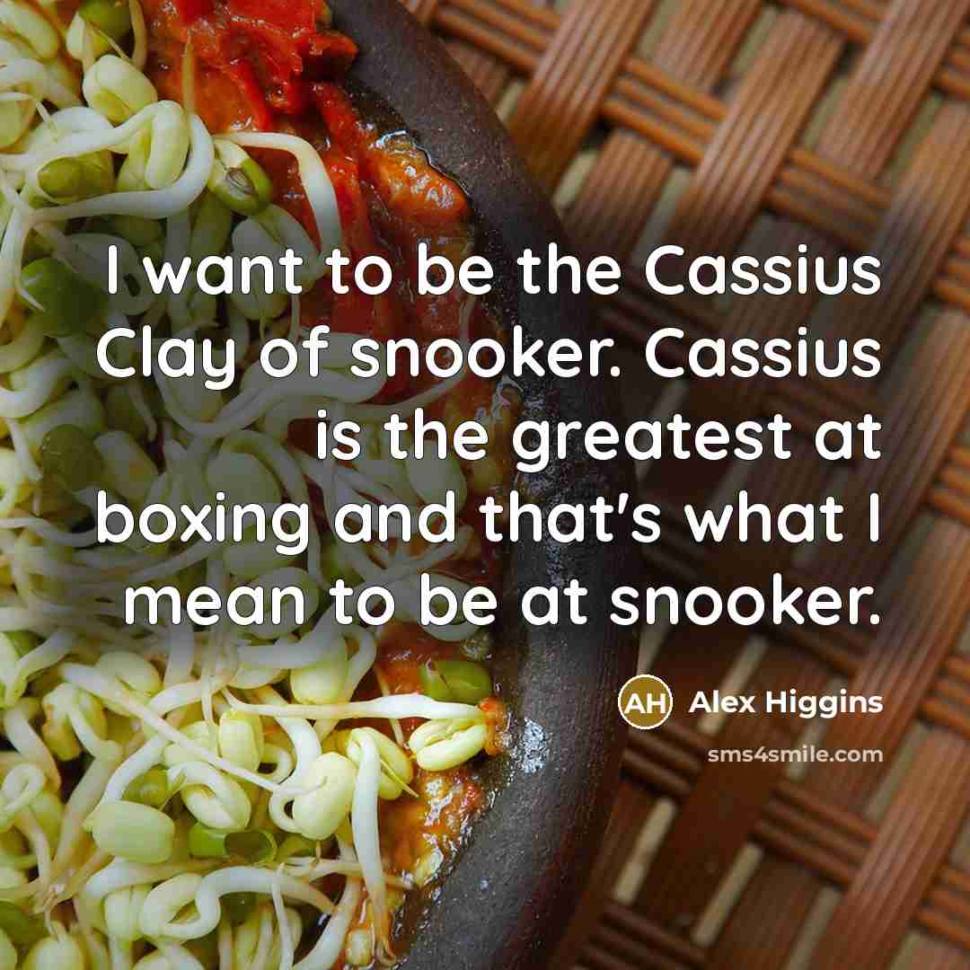 “I want to be the Cassius Clay of snooker. Cassius…” quote by Alex Higgins