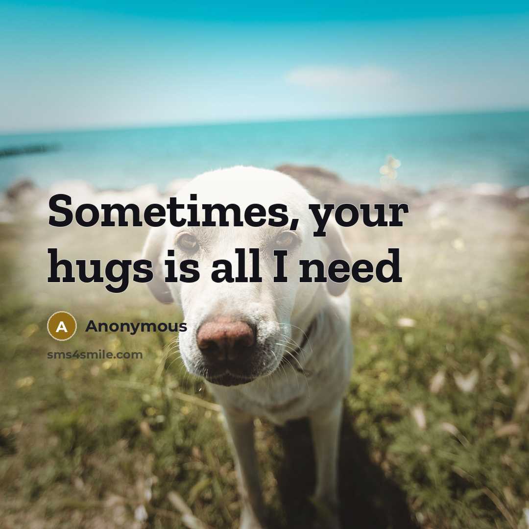 “Sometimes, your hugs is all I need…” quote by Anonymous
