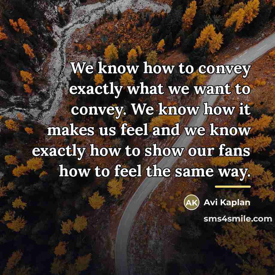 “We know how to convey exactly what we want to…” quote by Avi Kaplan