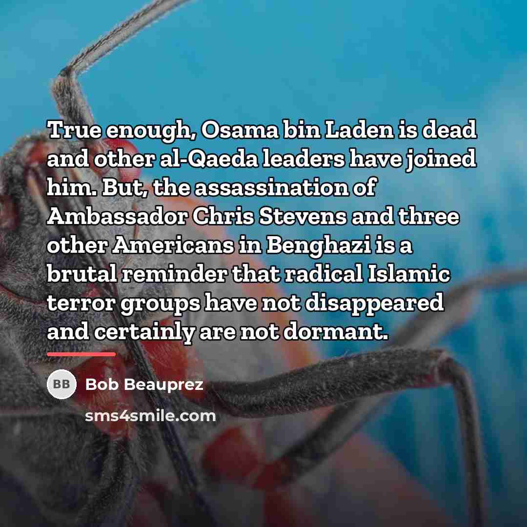 “True enough, Osama bin Laden is dead and other al-Qaeda…” quote by Bob Beauprez