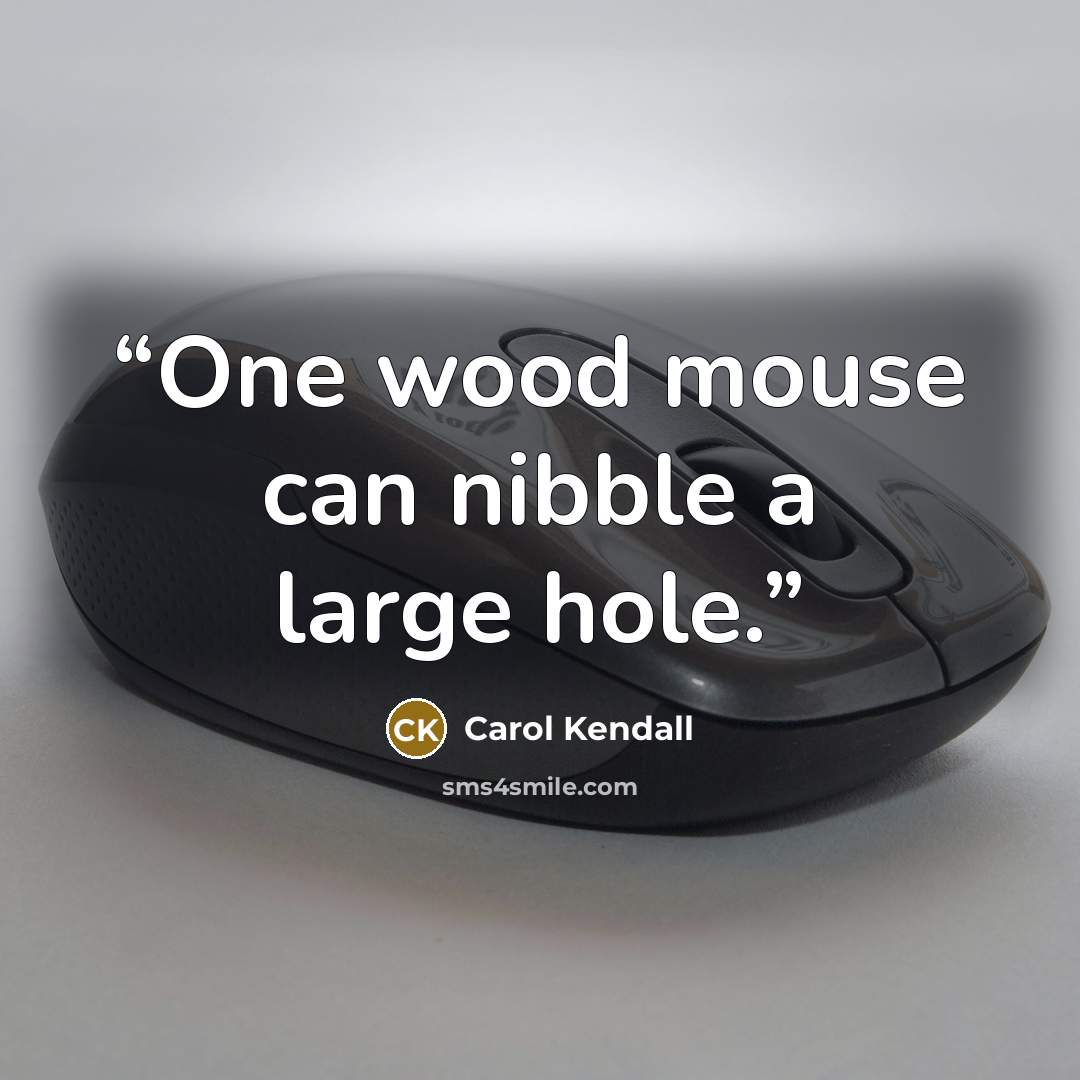 “One wood mouse can nibble a large hole.” quote by Carol Kendall