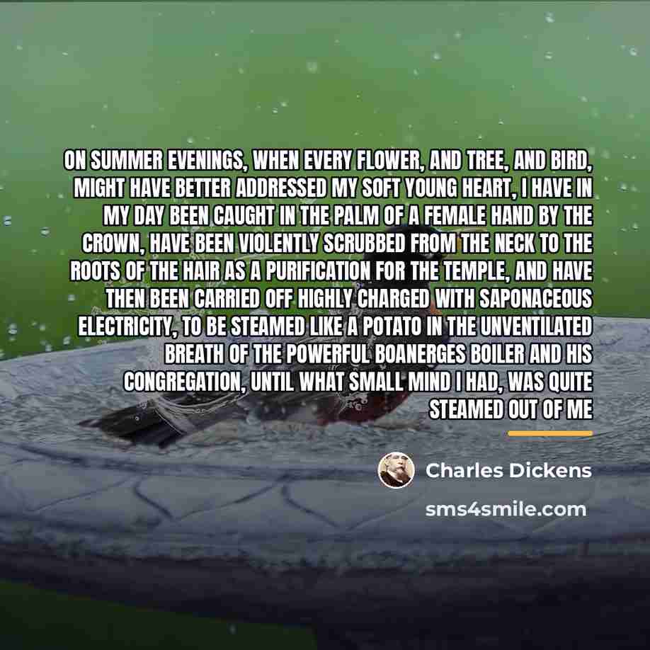 “On summer evenings, when every flower, and tree, and bird,…” quote by Charles Dickens