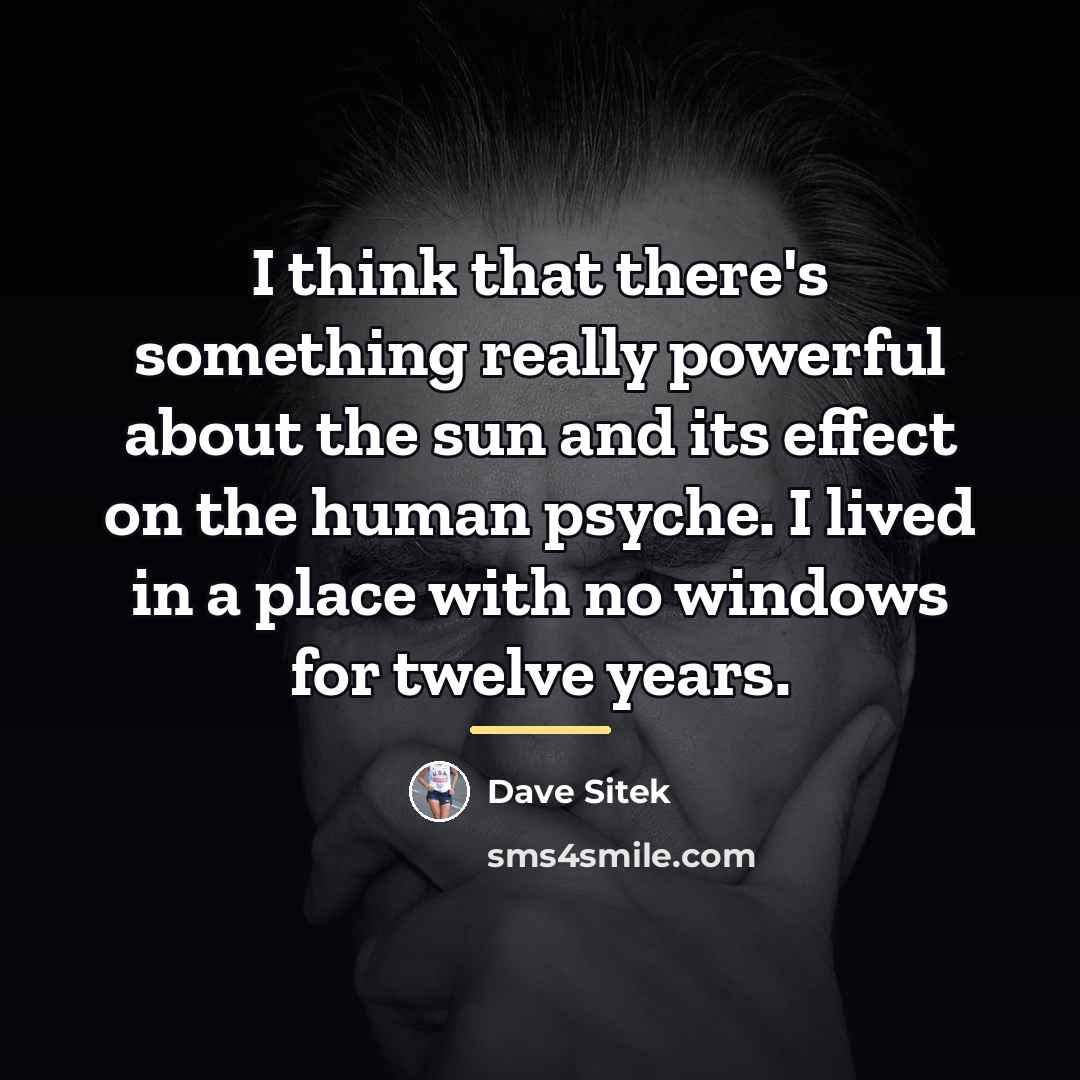 “I think that there's something really powerful about the sun…” quote by Dave Sitek
