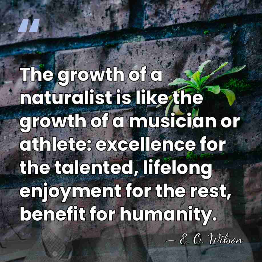 The growth of a naturalist is like the growth of a musician&hellip; - E. O. Wilson