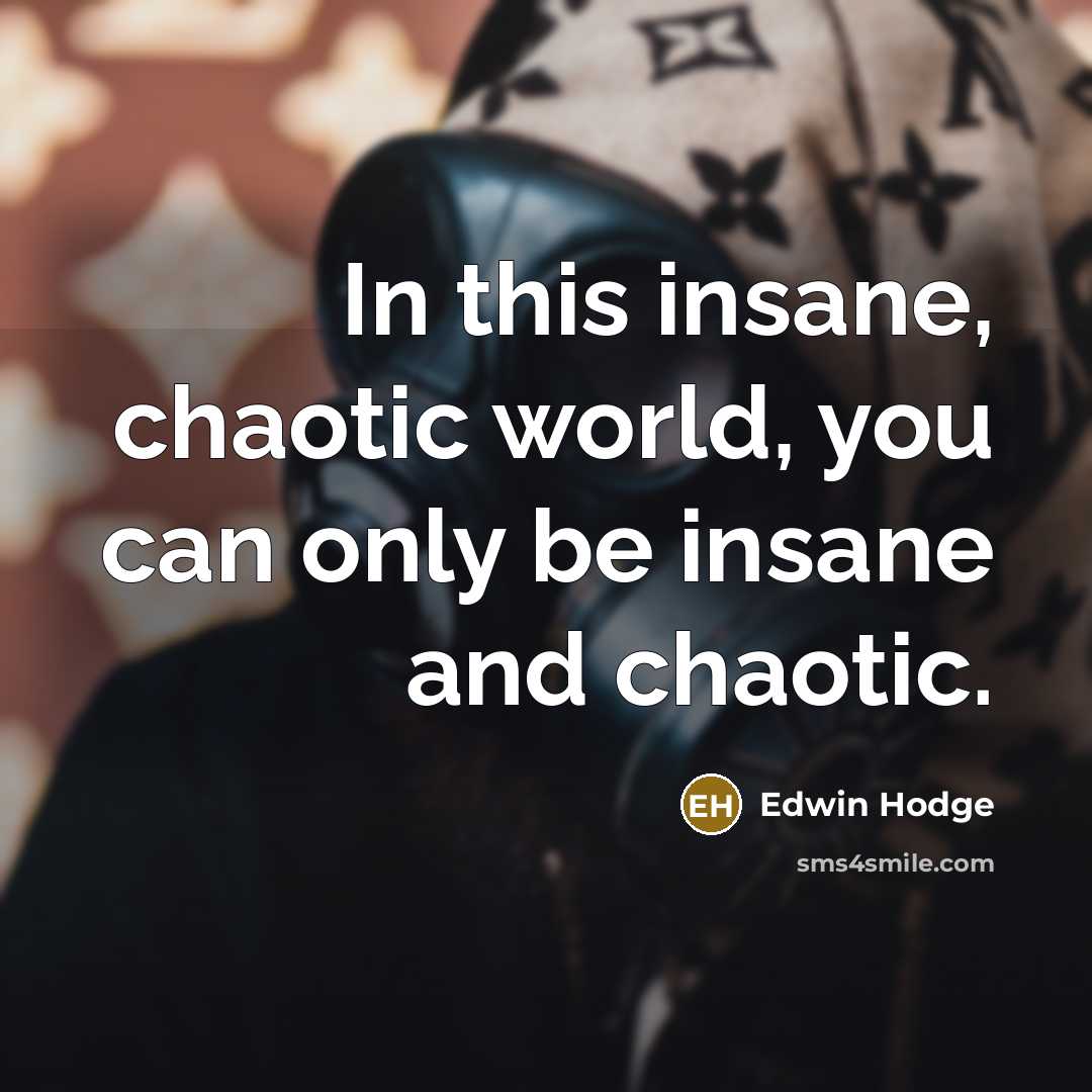 “In this insane, chaotic world, you can only be insane…” quote by Edwin Hodge