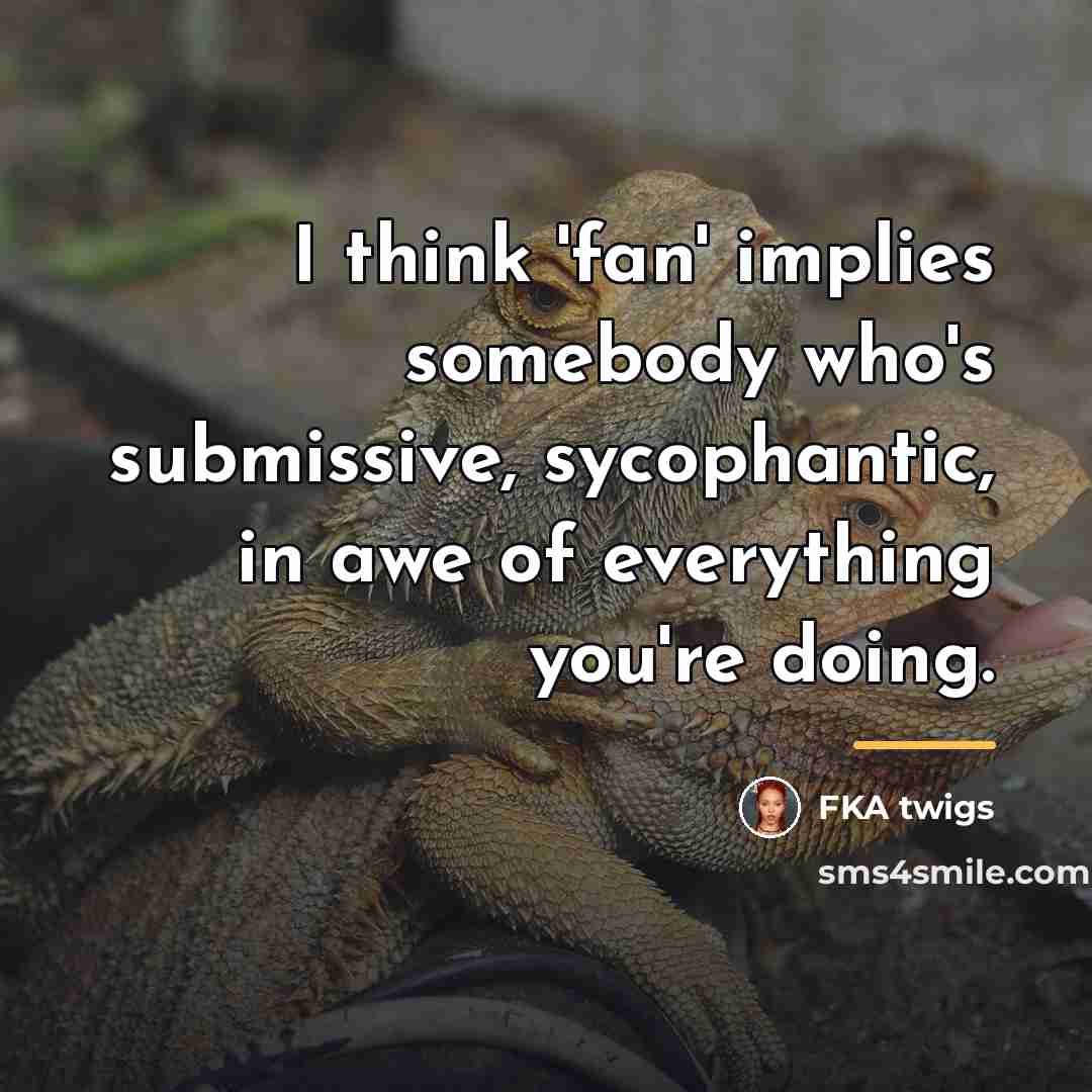 “I think 'fan' implies somebody who's submissive, sycophantic, in awe…” quote by FKA twigs