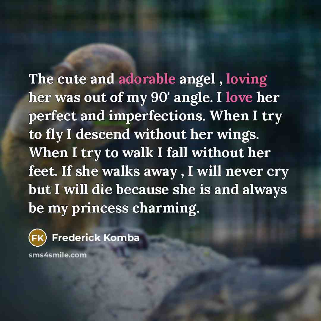 “The cute and adorable angel , loving her was out of my 90' angle. I love her perfect and imperfections. When I try to fly I descend without her wings. When I try to walk I fall without her feet. If she walks away , I will never cry but I will die because she is and always be my princess charming.” quote by Frederick Komba