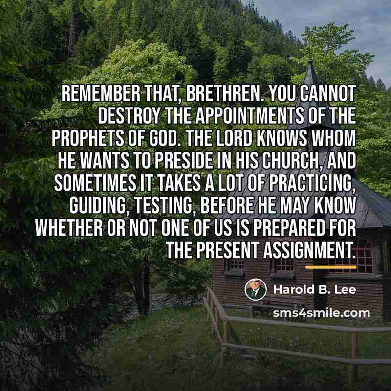 “Remember that, brethren. You cannot destroy the appointments of the…” quote by Harold B. Lee