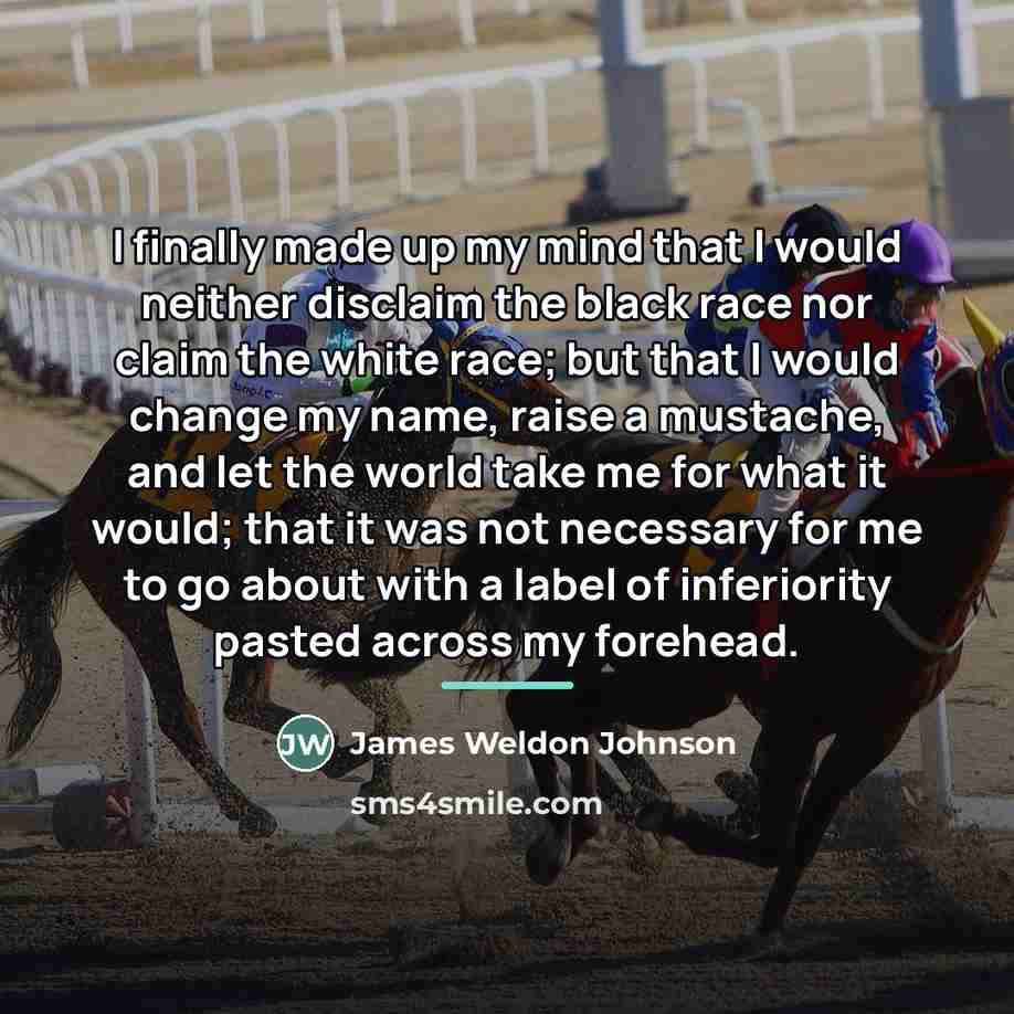 “I finally made up my mind that I would neither…” quote by James Weldon Johnson