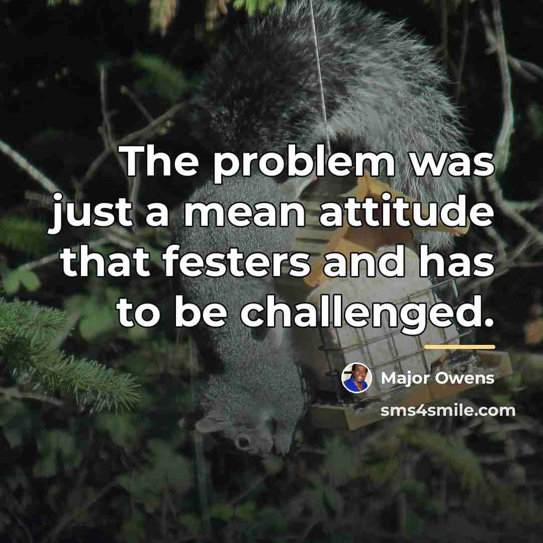 “The problem was just a mean attitude that festers and…” quote by Major Owens
