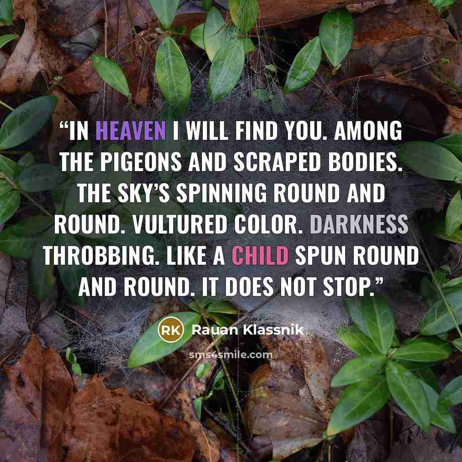 “In heaven I will find you. Among the pigeons and scraped bodies. The sky’s spinning round and round. Vultured color. Darkness throbbing. Like a child spun round and round. It does not stop.” quote by Rauan Klassnik
