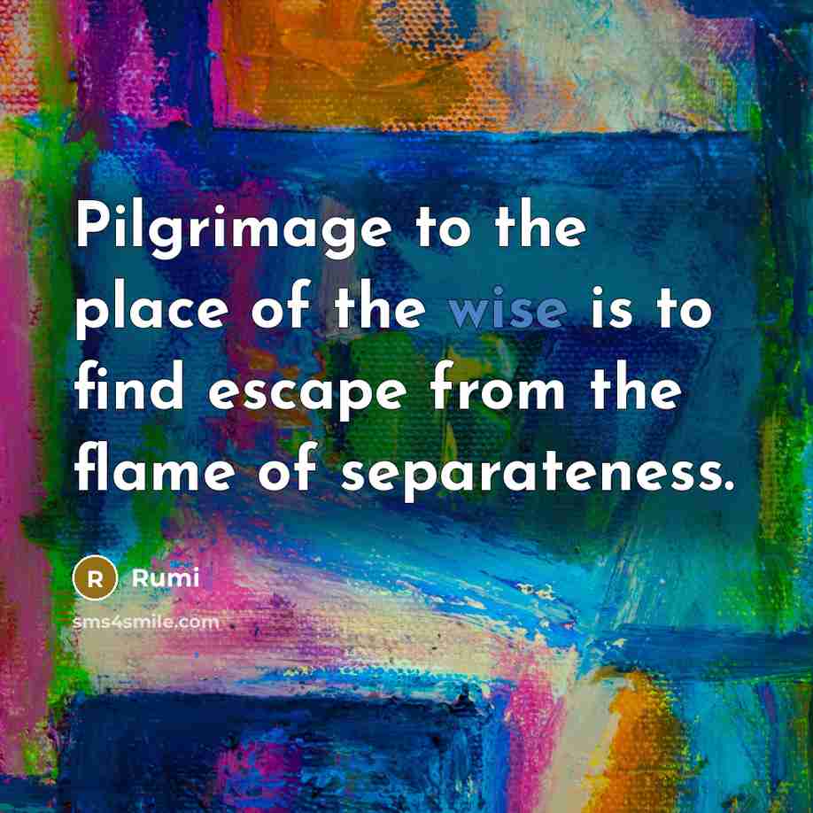 “Pilgrimage to the place of the wise is to find…” quote by Rumi