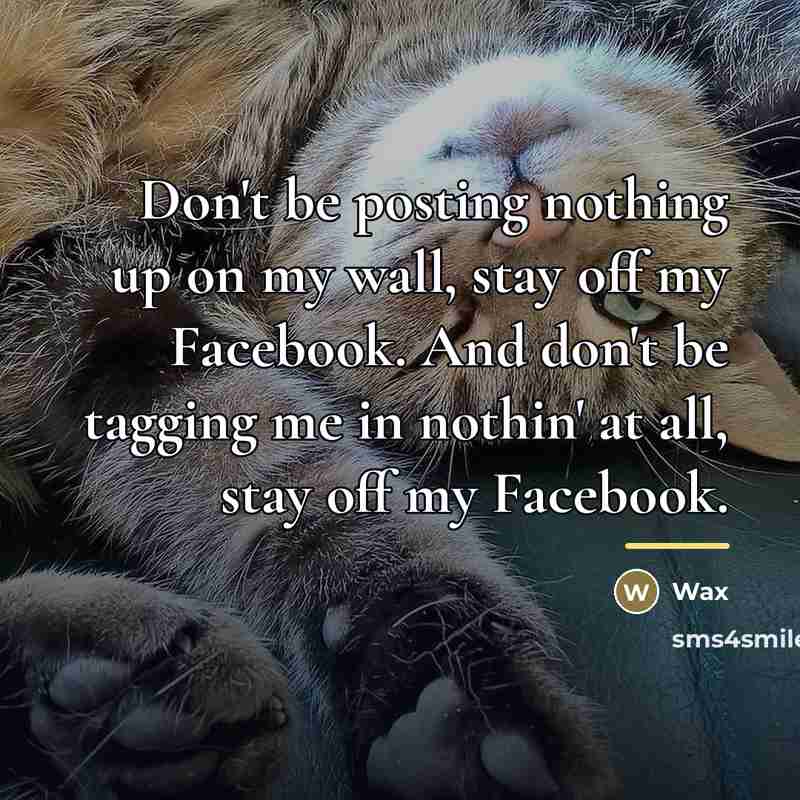 “Don't be posting nothing up on my wall, stay off…” quote by Wax
