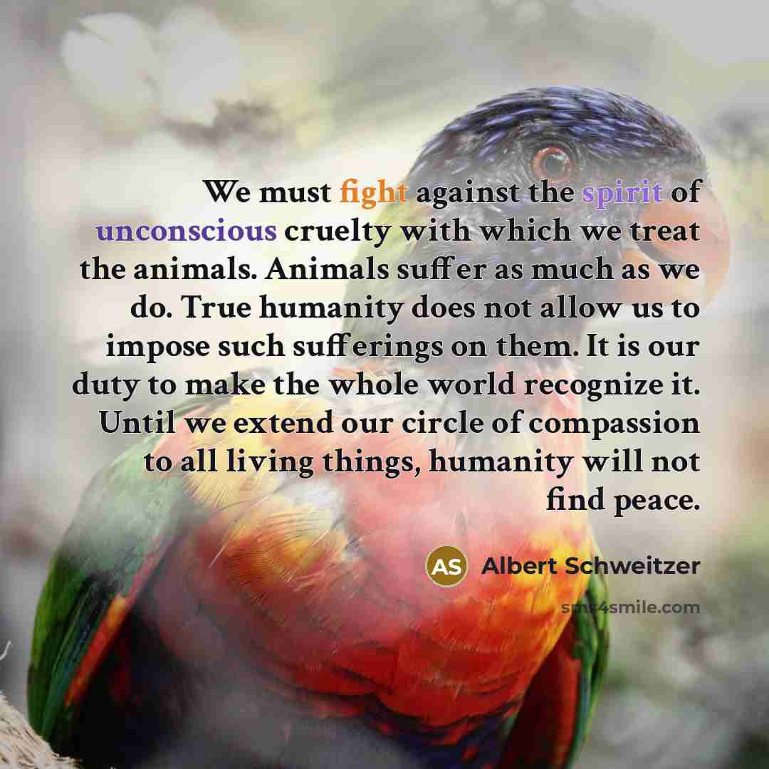 “We must fight against the spirit of unconscious cruelty with…” quote by Albert Schweitzer