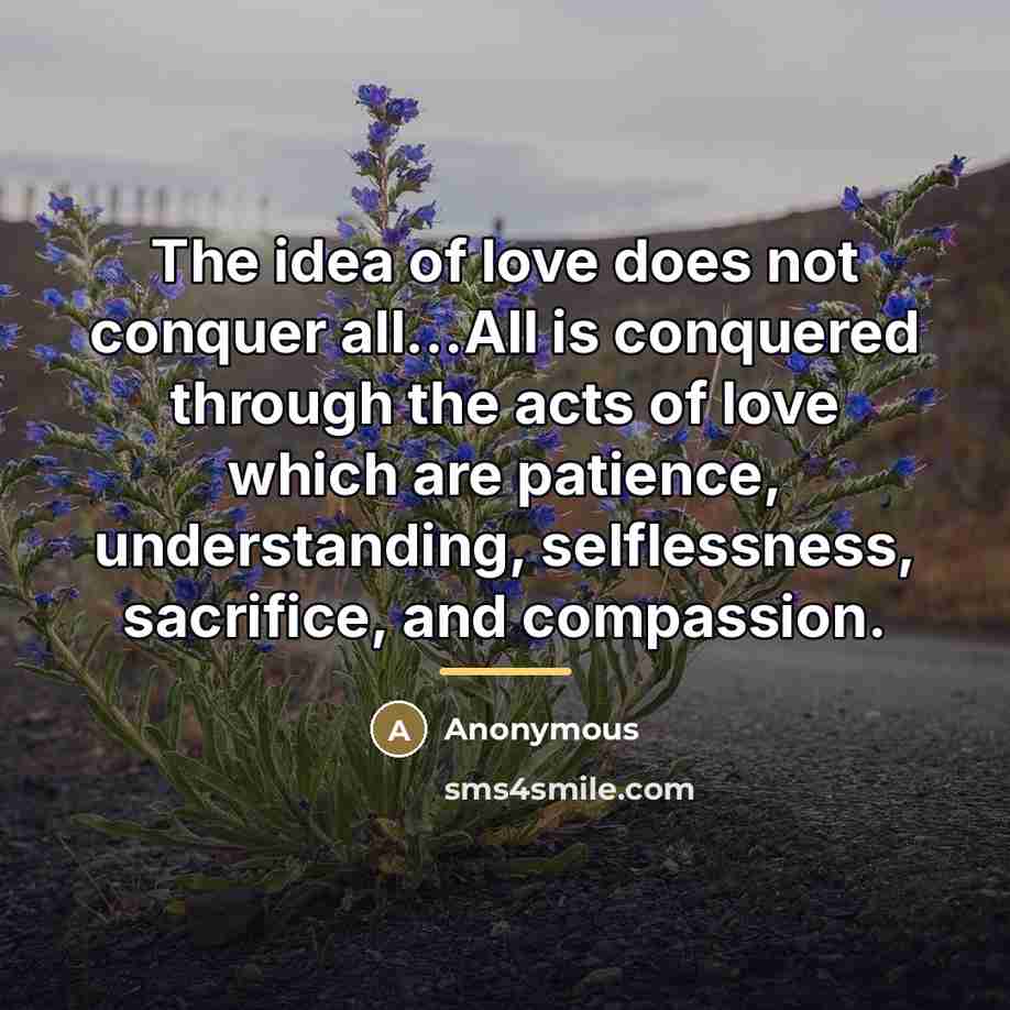 “The idea of love does not conquer all...All is conquered…” quote by Anonymous