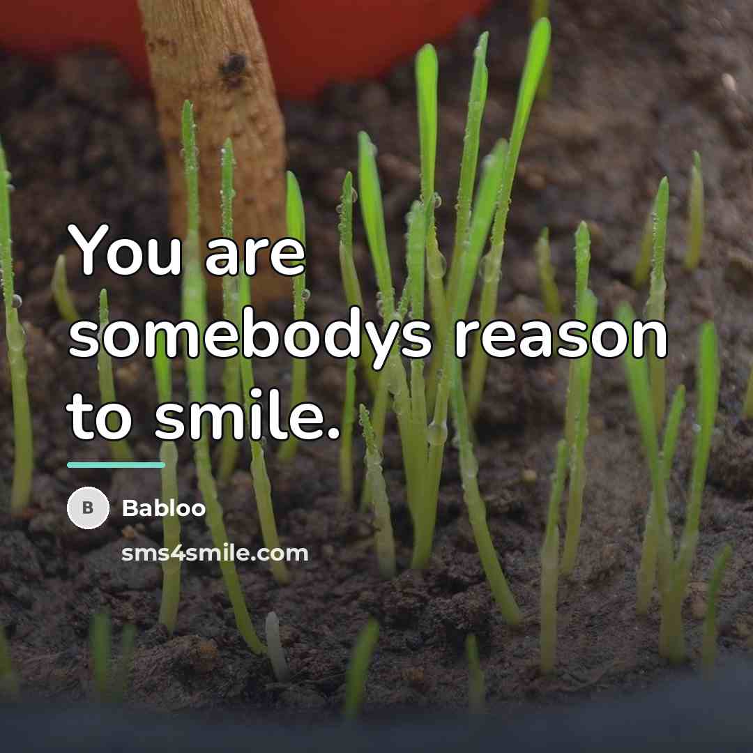 “You are somebodys reason to smile.…” quote by Babloo
