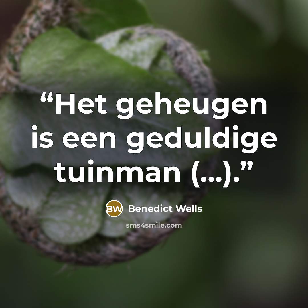 “Het geheugen is een geduldige tuinman (...).” quote by Benedict Wells