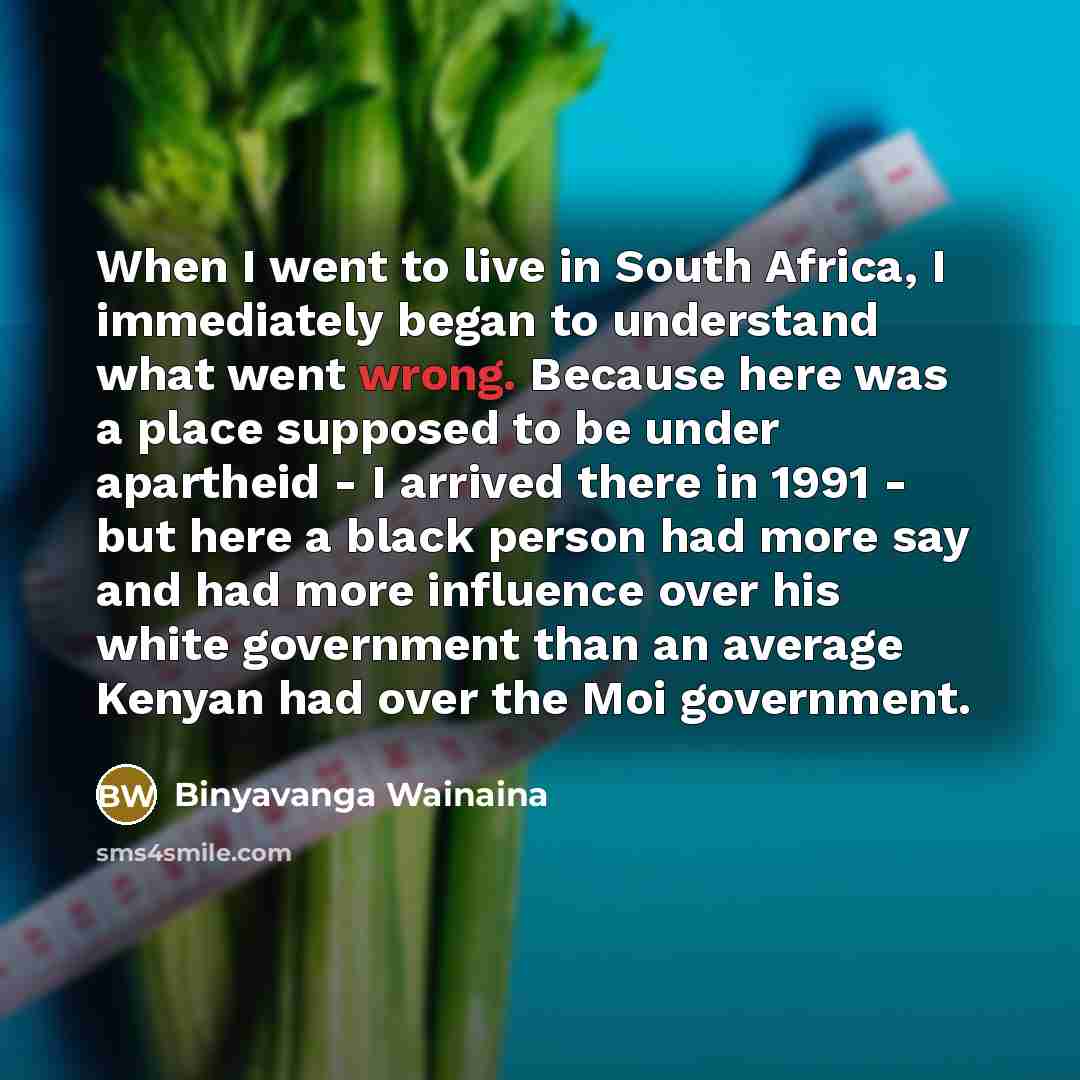 “When I went to live in South Africa, I immediately…” quote by Binyavanga Wainaina