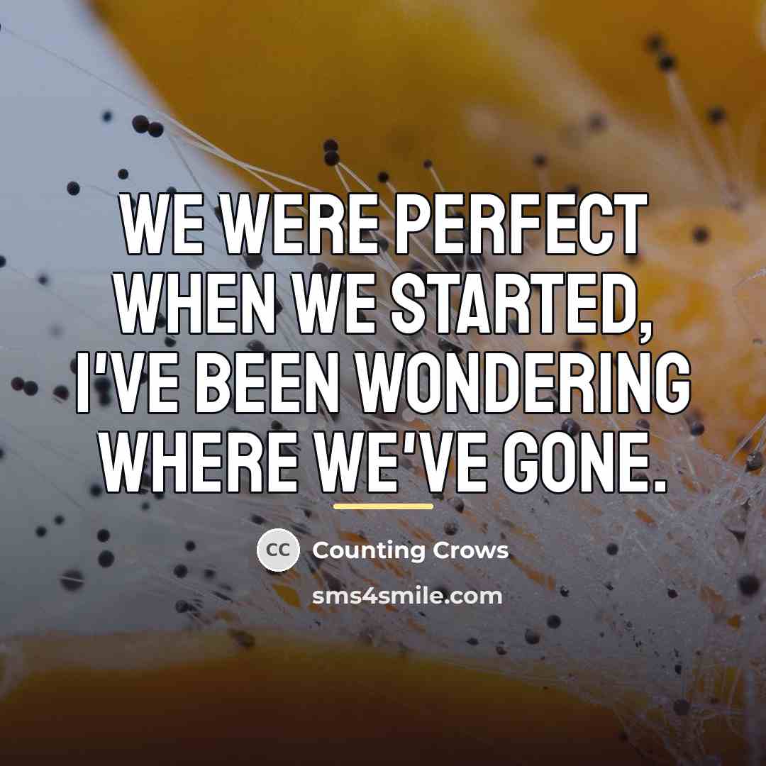 “We were perfect when we started, I've been wondering where…” quote by Counting Crows