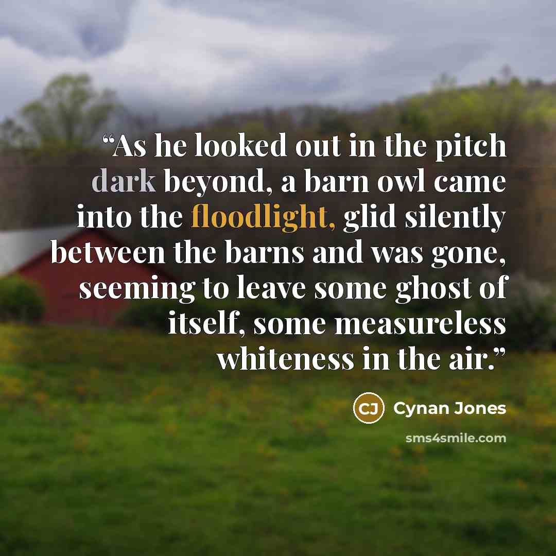 “As he looked out in the pitch dark beyond, a barn owl came into the floodlight, glid silently between the barns and was gone, seeming to leave some ghost of itself, some measureless whiteness in the air.” quote by Cynan Jones
