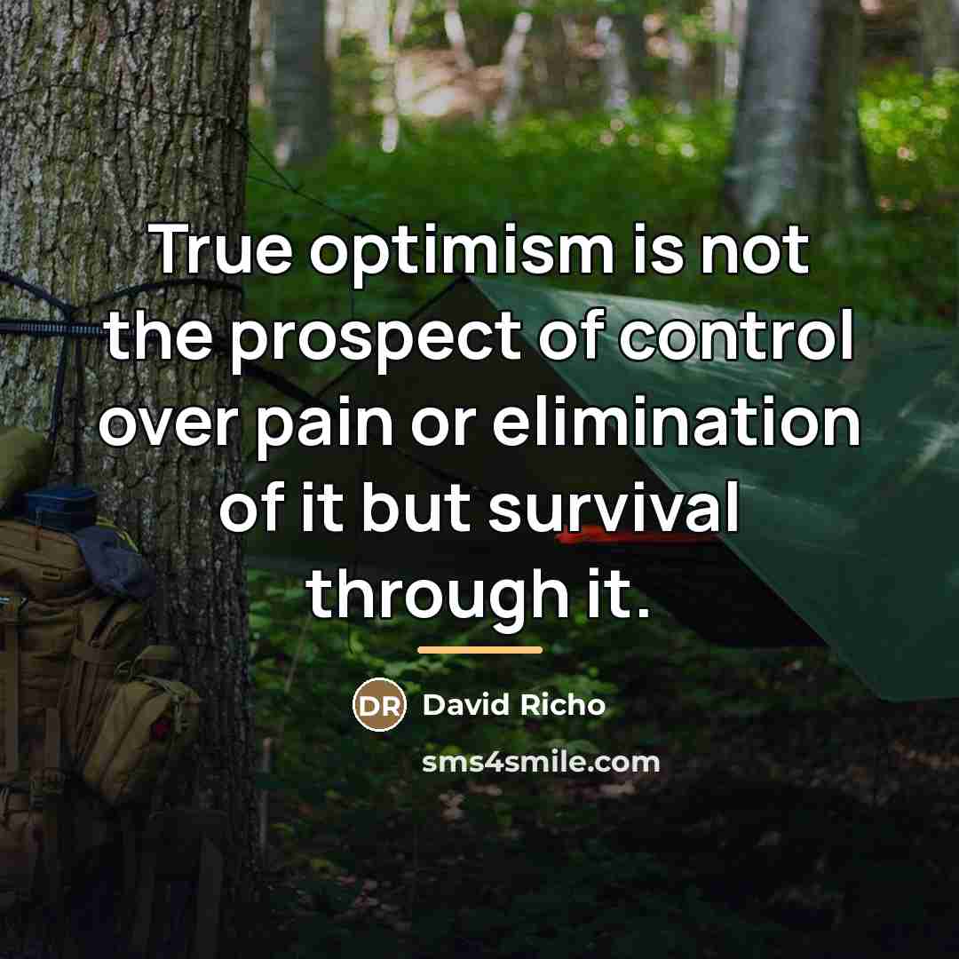 “True optimism is not the prospect of control over pain…” quote by David Richo