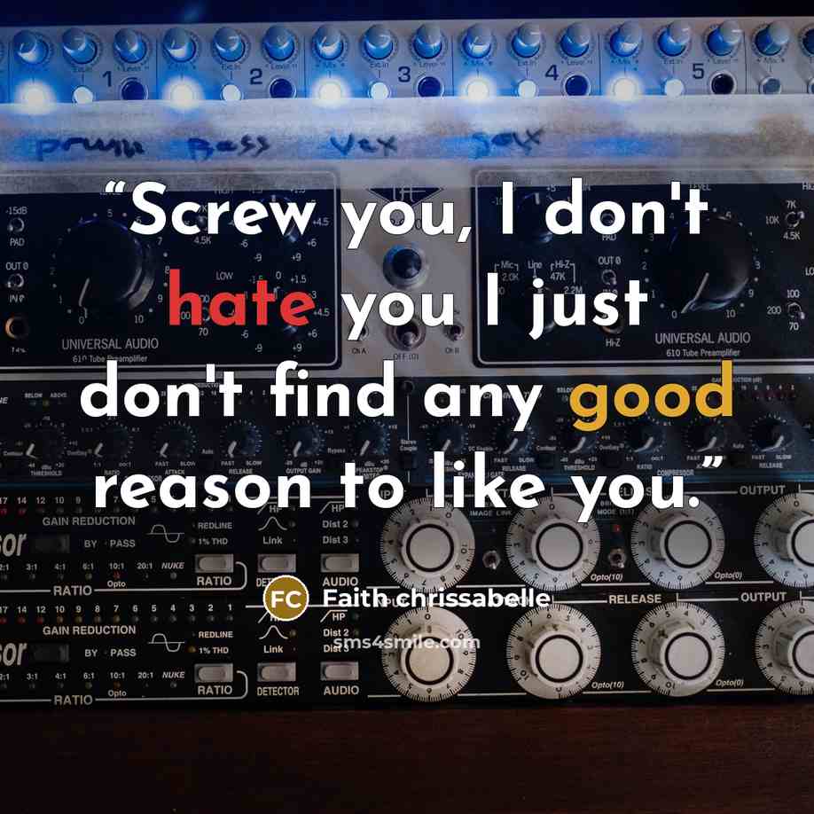 “Screw you, I don't hate you I just don't find any good reason to like you.” quote by Faith chrissabelle