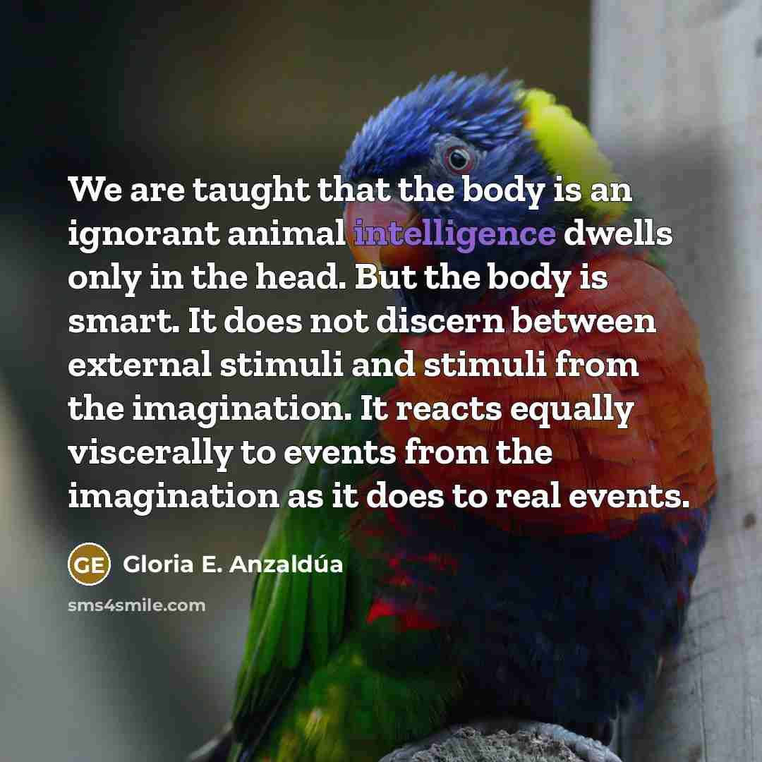 “We are taught that the body is an ignorant animal…” quote by Gloria E. Anzaldúa