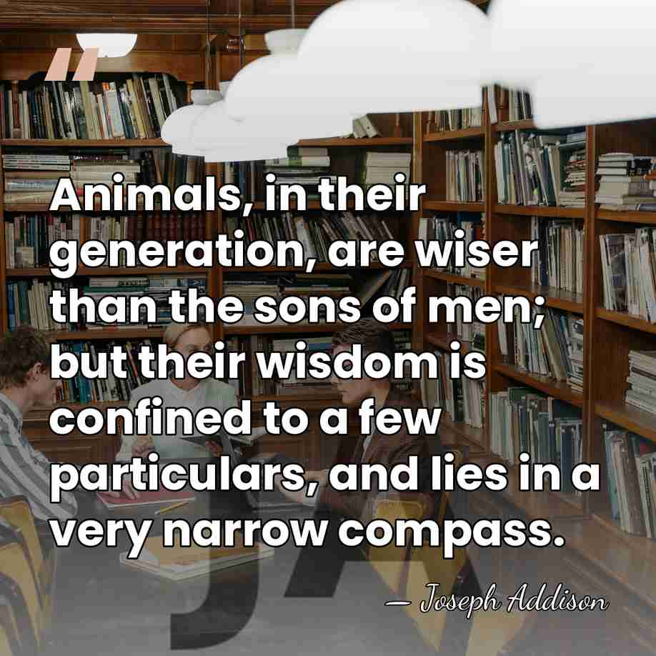 Animals, in their generation, are wiser than the sons of men; but&hellip; - Joseph Addison
