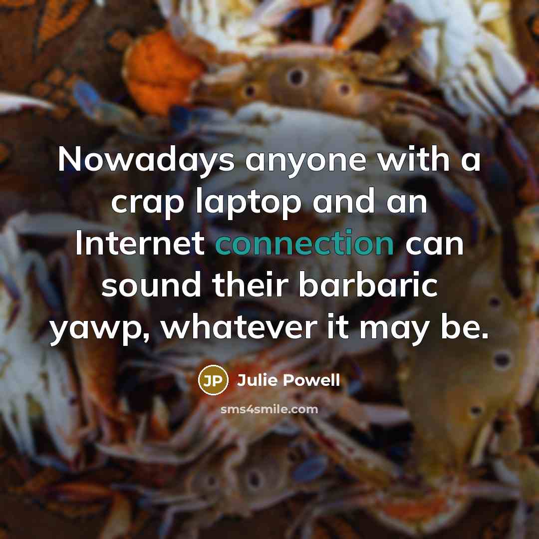 “Nowadays anyone with a crap laptop and an Internet connection…” quote by Julie Powell