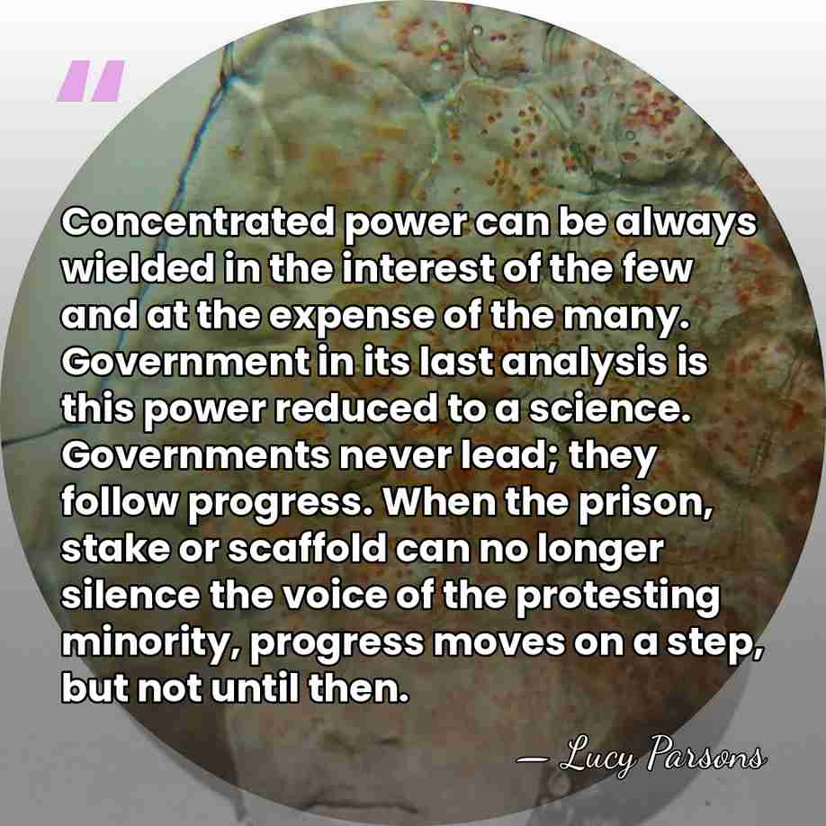 Concentrated power can be always wielded in the interest of the few&hellip; - Lucy Parsons