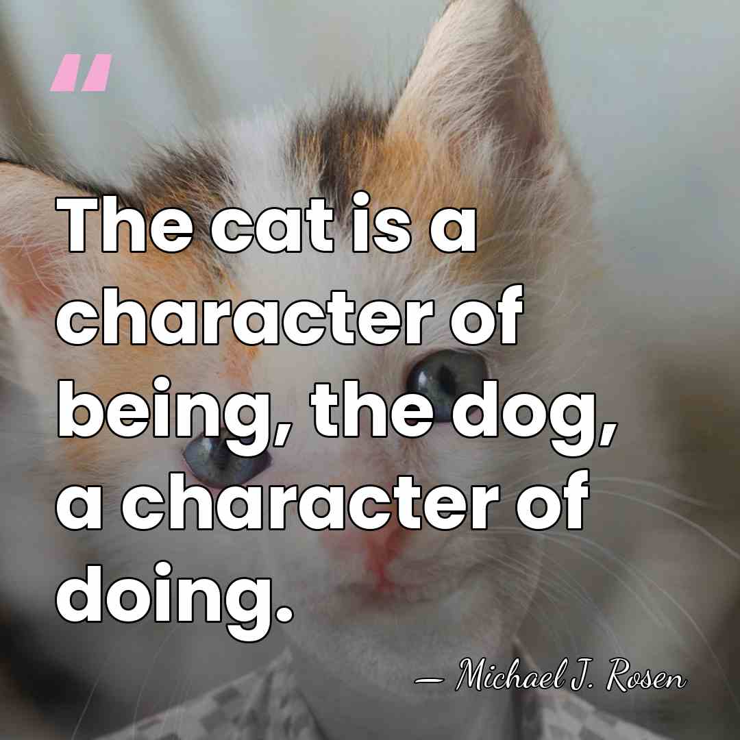 The cat is a character of being, the dog, a character of&hellip; - Michael J. Rosen