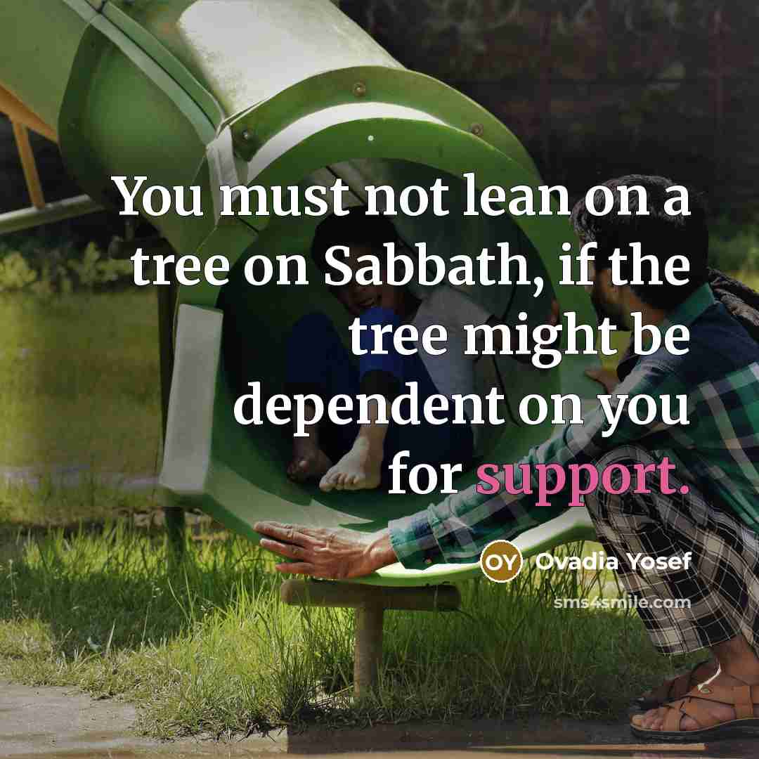“You must not lean on a tree on Sabbath, if…” quote by Ovadia Yosef