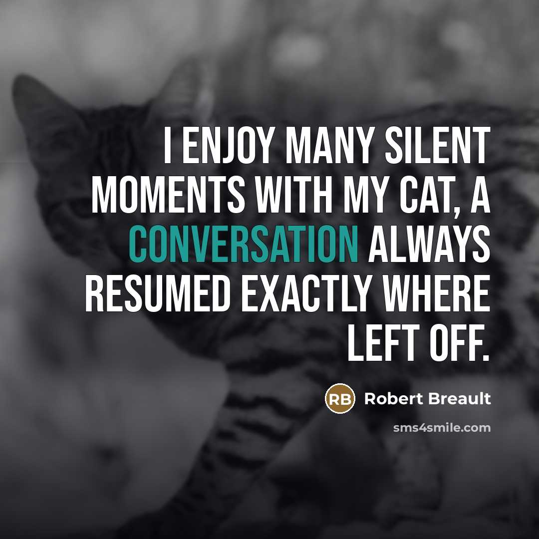 “I enjoy many silent moments with my cat, a conversation…” quote by Robert Breault