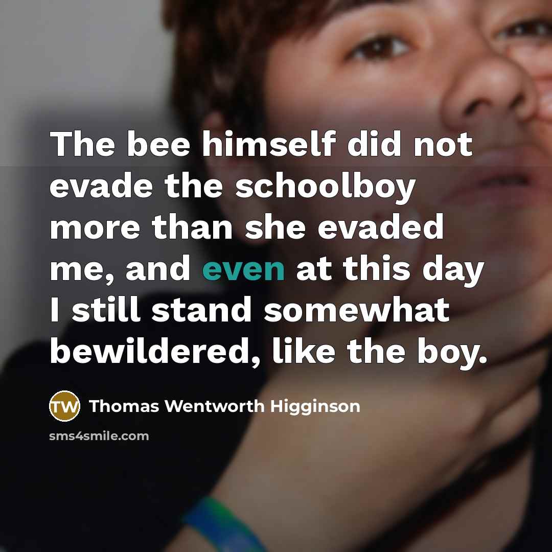 “The bee himself did not evade the schoolboy more than…” quote by Thomas Wentworth Higginson